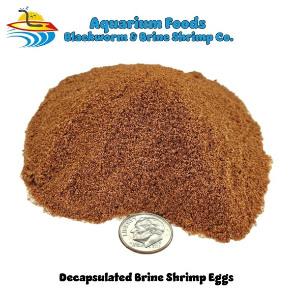 Decapsulated Brine Shrimp Eggs - Decapsulated Artemia Cysts - Non Hatching…2oz