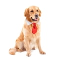thumbnail image 3 of Gato Perro Collar Pajarita Algodón Mascota Corbata formal para fiesta de boda (Rojo S) JShteea  Libre de BPA, 3 of 4