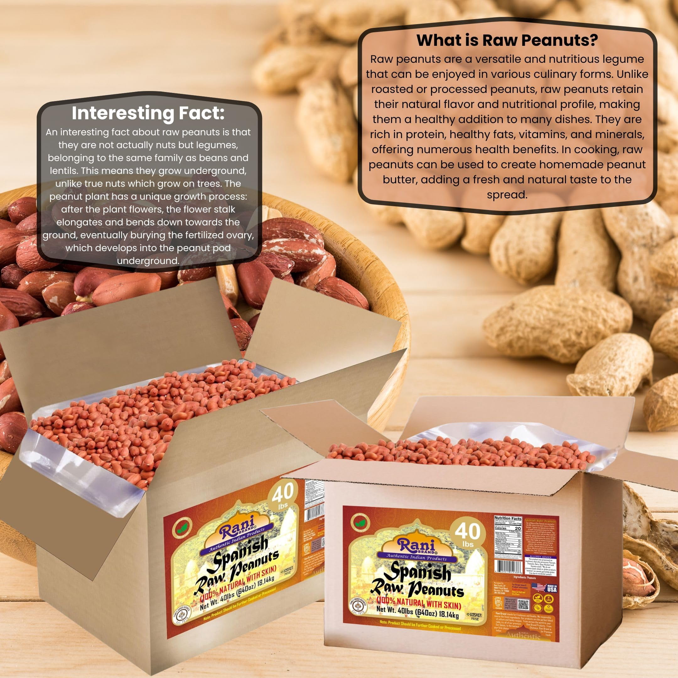Rani Raw Spanish Peanuts 100% Natural with Skin (uncooked, unsalted) 40lbs (640oz) 18.14kg Bulk Box ~ Vegan | Gluten Friendly | Kosher | Red-brown Skin