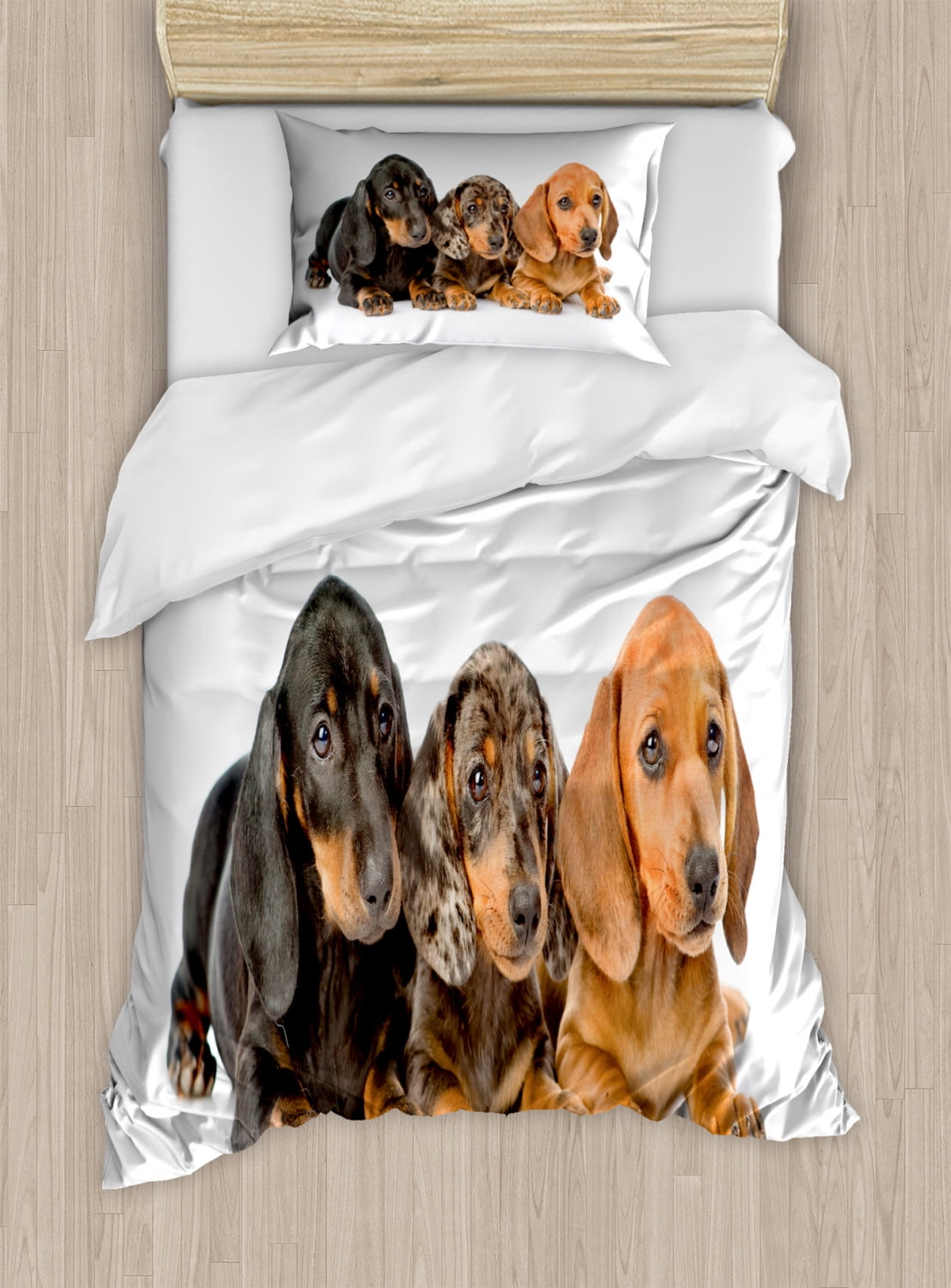 Dachshund Duvet Cover Set Queen Size Dog Lover Photo of Sweet Long Torso Breed Puppies Lying 3 Piece Bedding Set with 2 Pillow Shams Dark Taupe Grey Taupe Persian Orange by Ambesonne