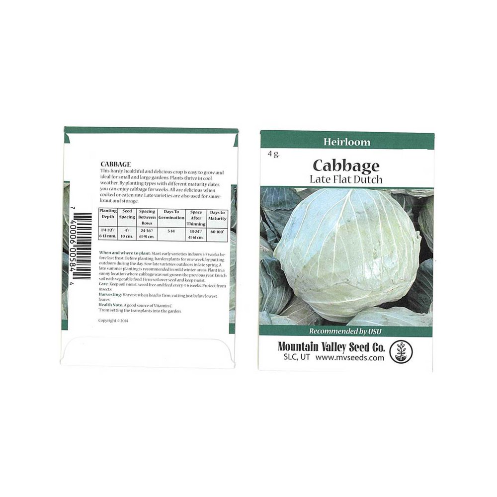 Cabbage Seeds Late Flat Dutch 4 Gram Packet NonGMO, Heirloom