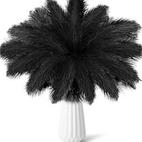 Pack of 20 Natural Black Ostrich Feathers,8-10Inch Reusable Ostrich Feathers Plumes for Flower Arrangement,Wedding Centerpieces,Home Decor