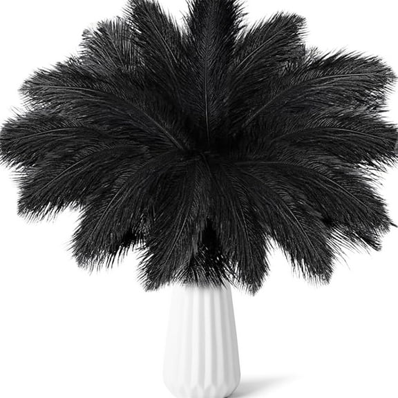 Pack of 20 Natural Black Ostrich Feathers,8-10Inch Reusable Ostrich Feathers Plumes for Flower Arrangement,Wedding Centerpieces,Home Decor