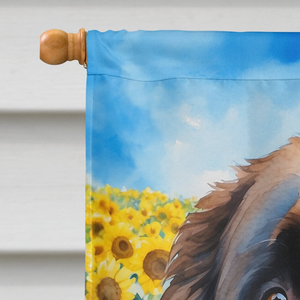 Newfoundland in Sunflowers House Flag 28 in x 40 in