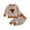Coffee, variant on Baby Wedding Outfit Newborn Infant Baby Boy Clothes Outfits New to The Crew Outfits Long Pants Toddler Baby Boy Clothes Set,Size 6-12 Months