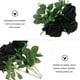 thumbnail image 5 of BESTYASH Decora Tu Hogar Con Negras Falsas Livianas Y Resistentes Para Ambientes Interior, 5 of 6