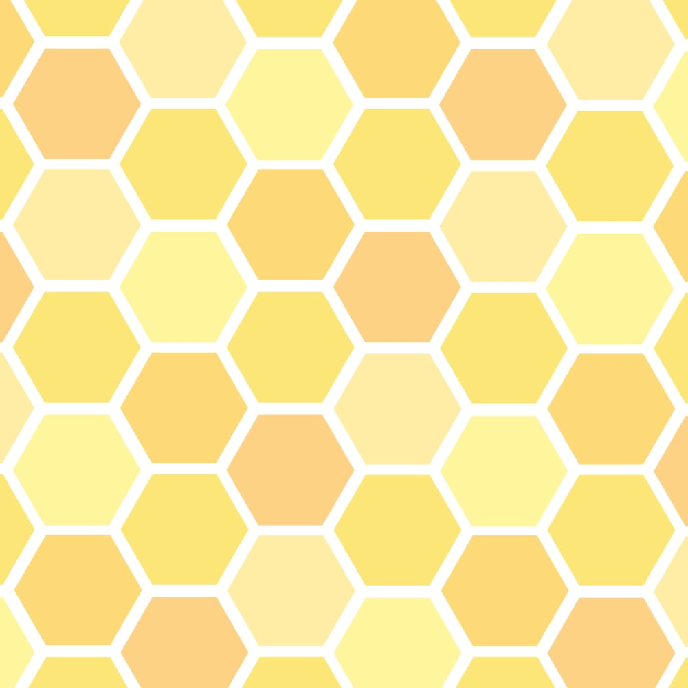 GRAPHICS & MORE Bee on Honeycomb Gift Wrap Wrapping Paper Roll