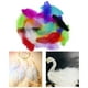 thumbnail image 4 of 100 Plumas de Gallina de Colores Brillantes para Manualidades Mezclado, 4 of 9