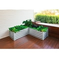 thumbnail image 4 of Gard Bed For Terrace Garden Plants- Grow Vegetables, Flowers, Herbs For Gardening Bed - L Wg, 4 of 12