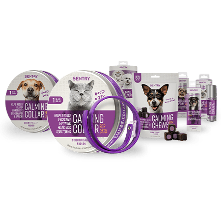 sentry calming chews