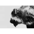 thumbnail image 3 of Beata, Angyalosi 18x13 Black Modern Framed Museum Art Print Titled - Bison, 3 of 5