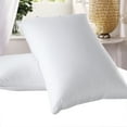 thumbnail image 1 of Abripedic Goose Down Pillows 600 Thread Count Medium Neck Support Pillow (Single), 1 of 1