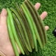 thumbnail image 2 of MUKUN 10 piezas/lote señuelos de pesca cebos de silicona 5,4 g/7,4 g cebo artificial suave Swimbait gusano Wobblers de pesca para Neko Rig, 2 of 5