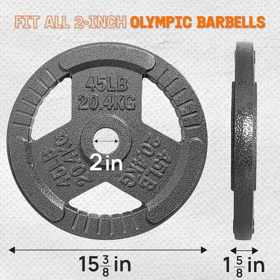 45LB Cast Iron Olympic Weight Plates - Single (Gray) for Strength Training