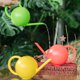 thumbnail image 4 of Regadera Pequeña De 1,5 L Para Plantas De Interior Regadera Para El Hogar Con Pico Largo Y Delgado Mini Regadera Para Flores, Suculentas, Bonsáis Y Jardinería, 4 of 5
