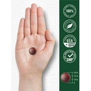 Ginkgo Biloba 300mg | 70 Gummies | Peach Raspberry Flavor | Vegan Supplement | by Carlyle