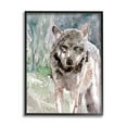 thumbnail image 2 of Stupell Industries Woodlands Coyote Watercolor Effect Wildlife Portrait Framed Wall Art, 11 x 14, Design by Stellar Design Studio, 2 of 5