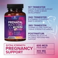 thumbnail image 6 of Prenatal Vitamins for Women with Folic Acid + Omega 3 DHA for Fetal Brain Development, Best Prenatal Vitamin Supplement, Daily Pregnancy Multivitamin Nutritional Support, Non-GMO - 60 Softgels, 6 of 10