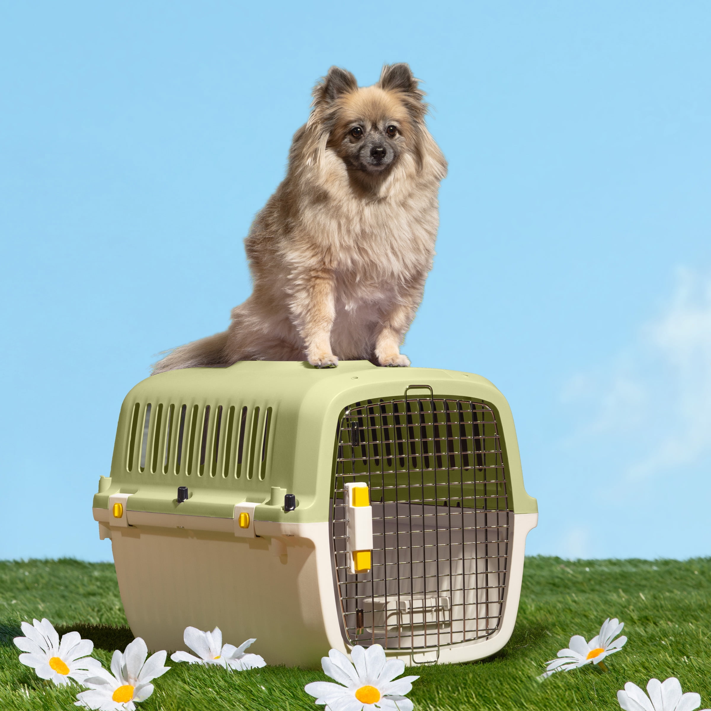 Oodles 24" Plastic Travel Pet Kennel with Clip On Bowl, Green