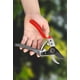 thumbnail image 4 of Corte profesional de ramas y jardines., 4 of 4