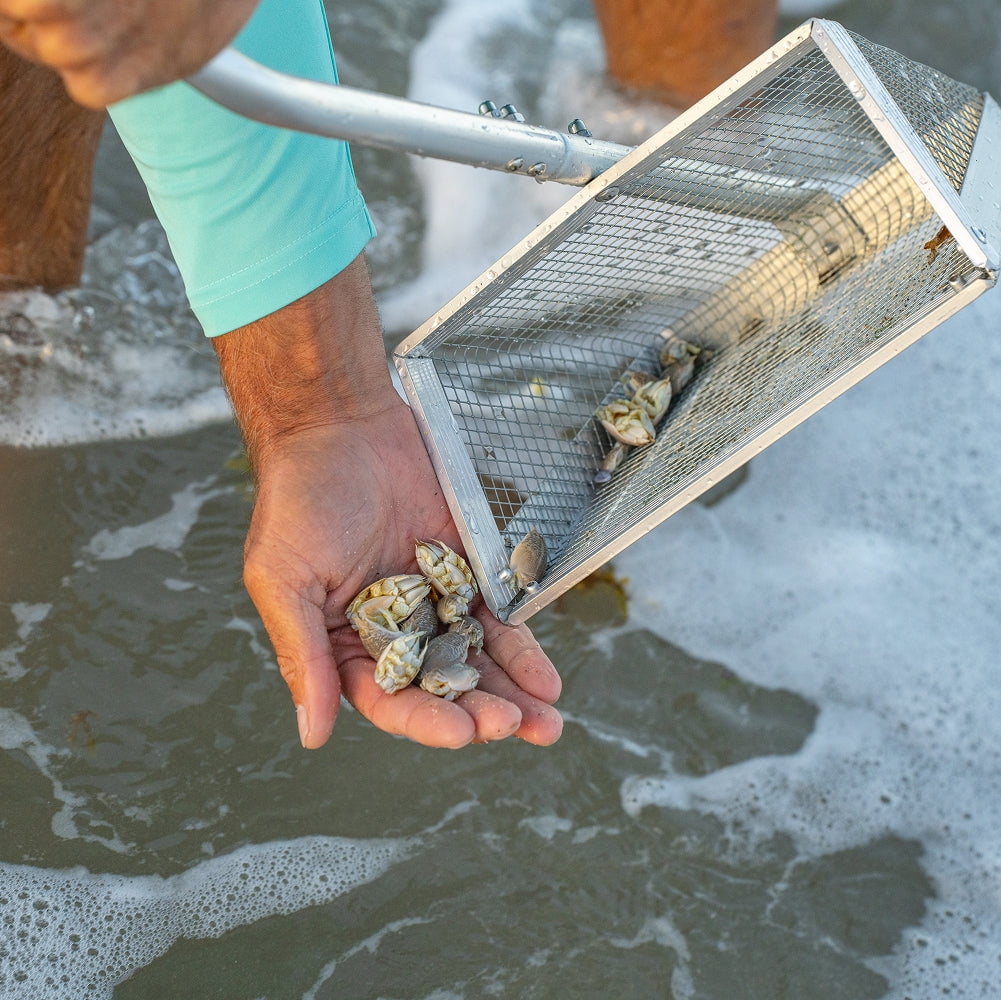 (2 pack) Tsunami Sand Flea Rake – Galvanized Steel Basket with Aluminum Handle
