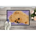 thumbnail image 2 of Carolines Treasures SS8834MAT Pomeranian Tapis Intérieur Extérieur - 18 x 27 Po., 2 of 4