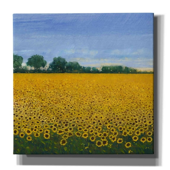Epic Graffiti 'Field of Sunflowers I' by Tim O'Toole, Canvas Wall Art, 37"x37"