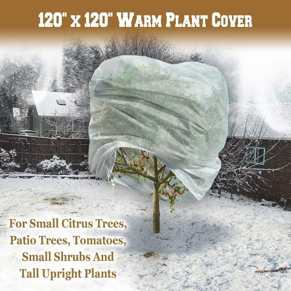 SUNRISEUMBRELLAWarm Worth Plant Cover Tree/Shrub Cover Plant Protecting &Frost Protection Bag (120” H x 120” Dia.)