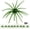 Moss green (10 pieces), variant on Bass Fishing Lures – Soft Plastic Fishing Lures, Fuzzy Dice and Sea Urchin Style Fine Lures for Freshwater, Trout, and Crab, with Tackle Box