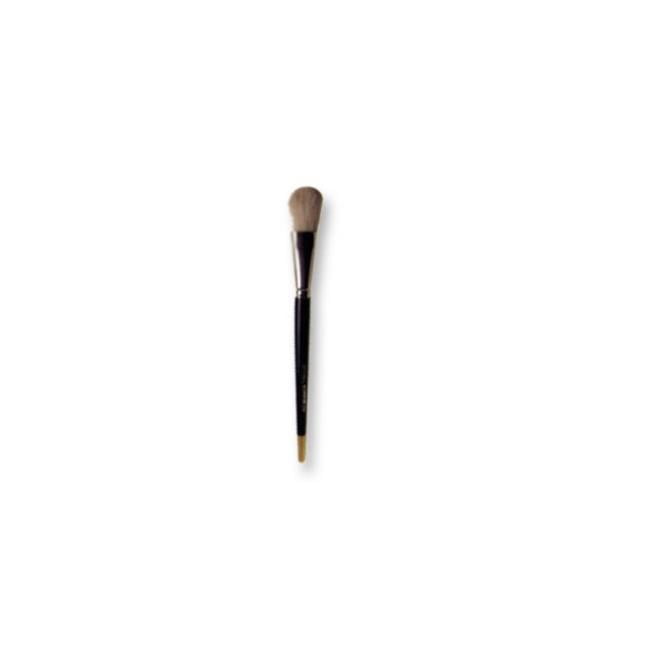 CSC Spa FB-100 Soin du Visage - Brosse pour le Visage