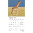 thumbnail image 4 of Baby Animals | 2026 7x14" (Hanging) Monthly Mini Wall Calendar | BrownTrout, 4 of 9