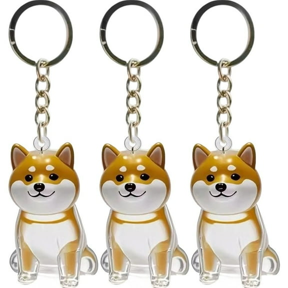 Pet Memorial Keychain, 3-Pack Pet Hair Keepsake Capsule Pendant for Ashes