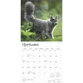 thumbnail image 4 of Maine Coon Cats | 2025 12x24" (Hanging) Square Wall Calendar | BrownTrout, 4 of 9