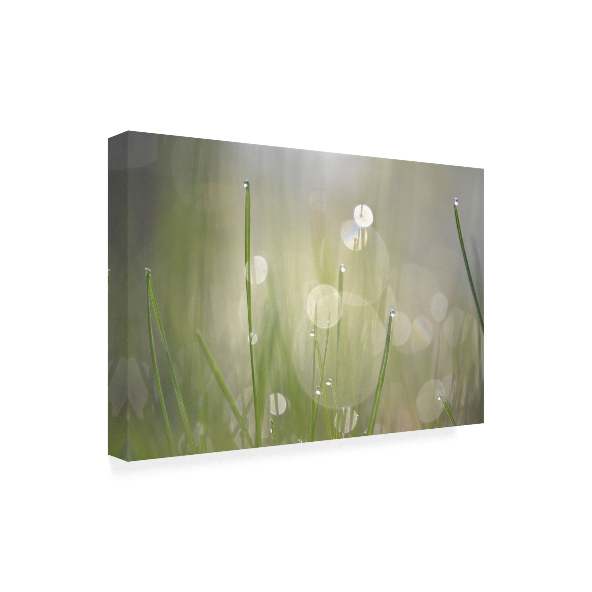 Trademark Fine Art 'Morning Light No. 3' Canvas Art by Ulpi Gonzale