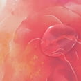 thumbnail image 4 of Bath Curtain & 60x72in Non-Slip Bath Mat Set 12-Grommet Shower Curtain Memory Foam Bath Rug Abstract Rose Watercolor Pattern, 4 of 8