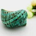 thumbnail image 4 of Cheers.US Large Natural Conch Shells Green Turbo Natural Rare Real Sea Shell Conch Green Seashells Great for Beach Theme Party, Home Decorations,DIY Crafts, Fish Tank, Air Plant, 4 of 7
