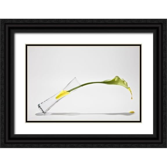 Pabst, Christian 14x11 Black Ornate Wood Framed with Double Matting Museum Art Print Titled - Calla