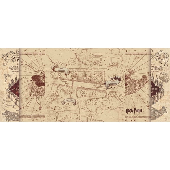 Harry Potter (Marauder's Map) FilmPixâ„¢ Photo Insert P1808H056