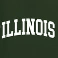 thumbnail image 5 of Wild Bobby State of Illinois College Style Men Premium Tri Blend Tee, 5 of 5