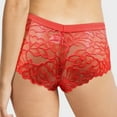 thumbnail image 5 of LAVRA Womens Underwear Lace Panties | Plus Size sexy panties & Boyshorts | Ladies Brief cheeky underwear for women Hipster Multi Pack, 5 of 5
