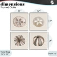 thumbnail image 3 of Stupell Industries Taupe & Beige Sea Creatures 4 Piece Gray Framed Giclee Art Set, design by Lanie Loreth, 3 of 8
