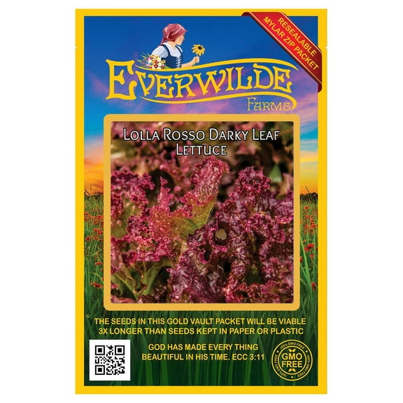 Everwilde Farms - 1000 Lolla Rosso Darky Leaf Lettuce Seeds - Gold Vault Jumbo Bulk Seed Packet