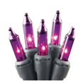 thumbnail image 1 of Celebrations 9762220 21.8 ft. Halloween Lighted Purple Light Set, 1 of 1