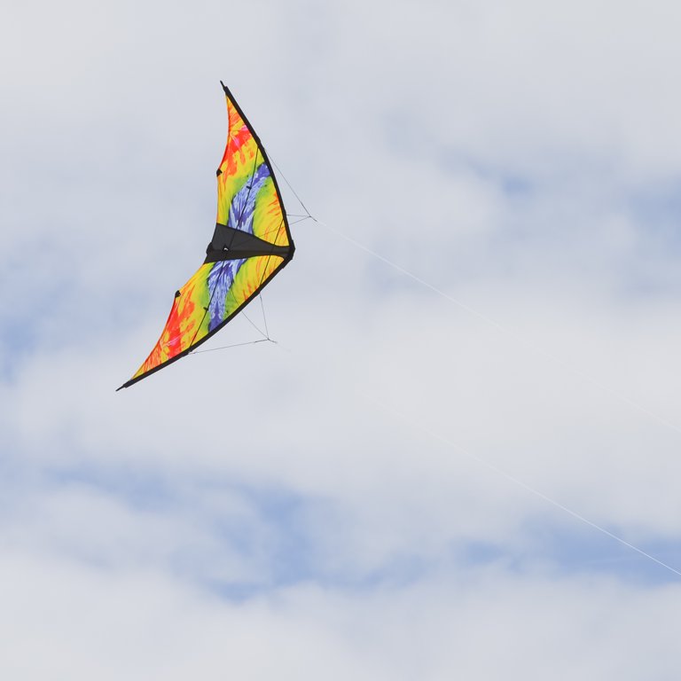 リネ・タトウィラー、【A Great Day to Fly A Kite】 リネ・タトウィラー、【A Great Day to Fly A Kite】 リネ