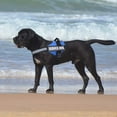 thumbnail image 4 of HAHDAXIA Service Dog Harness, No Pull Easy On and Off Pet Vest Harness, 3M Reflective Breathable & Easy Adjust Pet Halters with Nylon Handle - No More Tugging or Choking for Small Medium Larg, 4 of 7