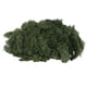 thumbnail image 2 of Musgo de reno noruego natural, eterno y preservado, flor seca para terrario, decoración de jardín de hadas Pasto verde, 2 of 7