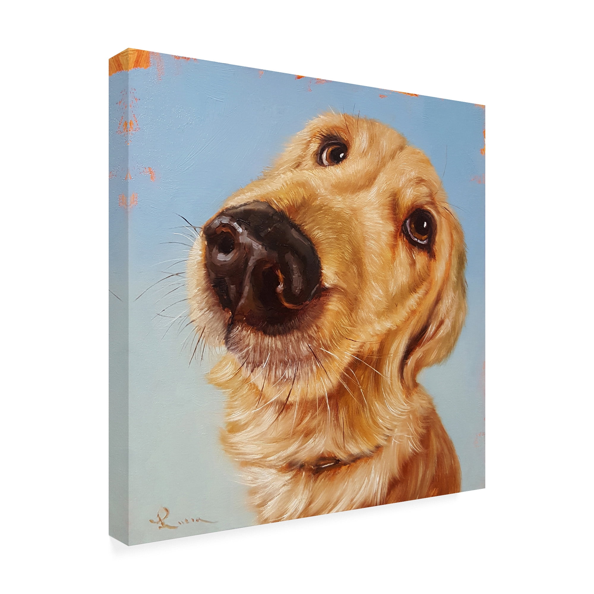 Trademark Fine Art 'Follow Your Nose 4' Canvas Art by Lucia Hefferna