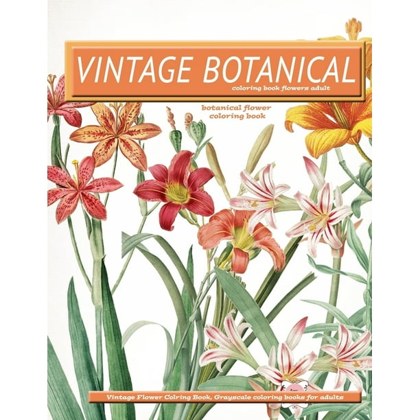 Download Vintage Botanical Coloring Book Flowers Adult Vintage Flower Coloring Book Grayscale Coloring Books For Adults Paperback Walmart Com Walmart Com