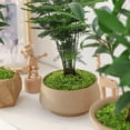 thumbnail image 4 of Simulated Artificial Turf Landscape Decoration Light Green/Green 100G/500G Green, 4 of 9