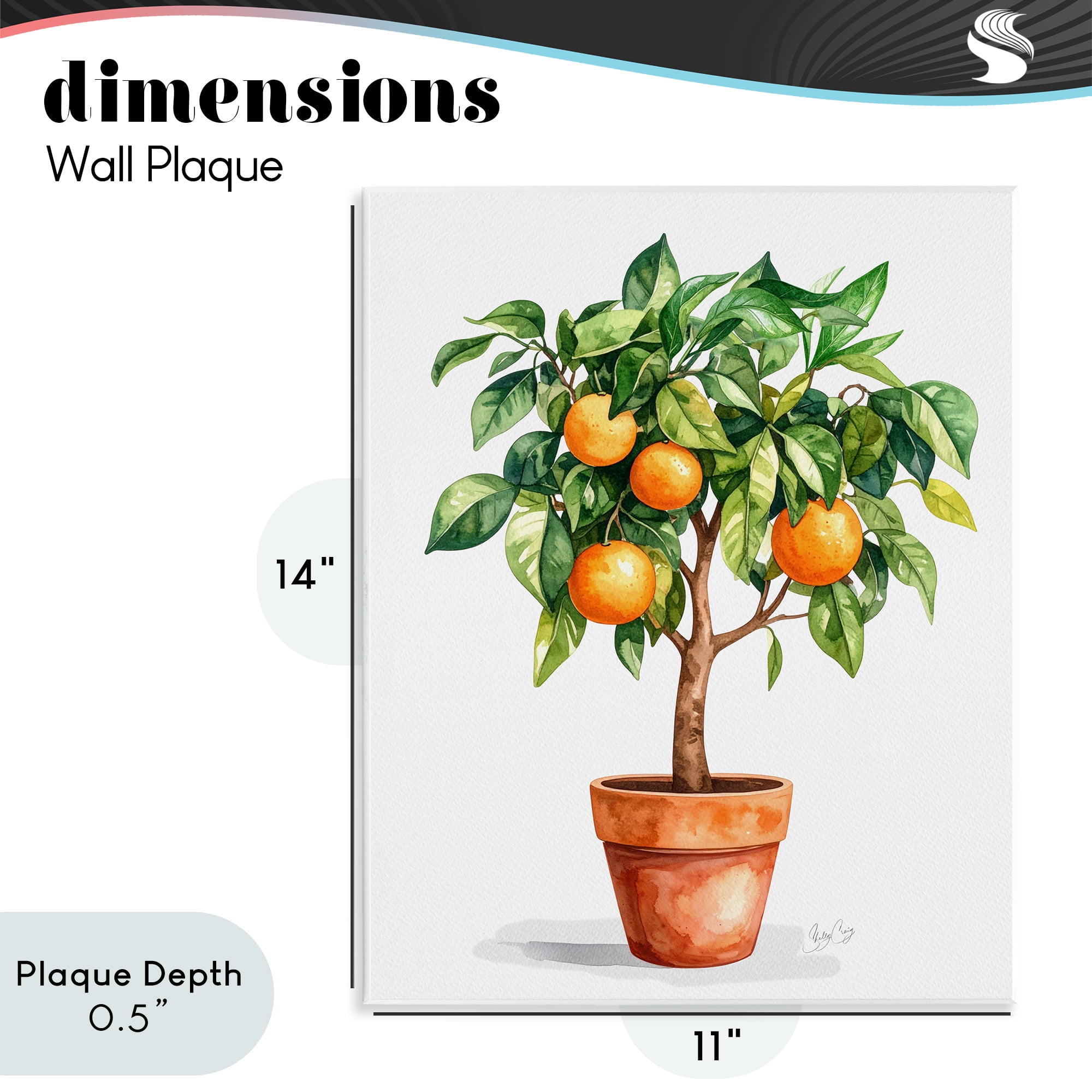 Stupell Industries Potted Orange Tree Wall Plaque Art, design by Shelly Craig